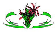 Gymea NSW Adelaide Schools