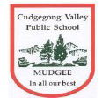 Cudgegong Valley Public School - Adelaide Schools