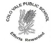 Colo Vale Public School - Adelaide Schools 0