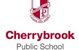 Cherrybrook Public School - thumb 0