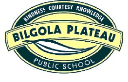 Bilgola Plateau Public School - Adelaide Schools 0