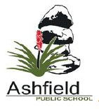 Ashfield Public School - Adelaide Schools 0