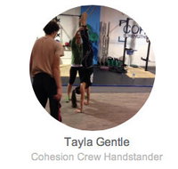 Cohesion Gym - Adelaide Schools
