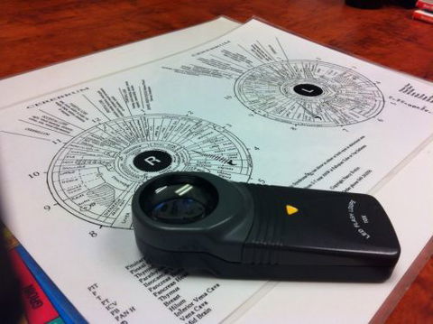 Sharon Lindner - Adelaide Schools 0