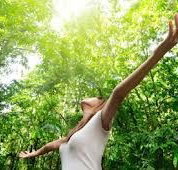 STARS Institute of Learning and Leadership - Adelaide Schools