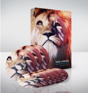 Moving Beyond Stress - Adelaide Schools 0