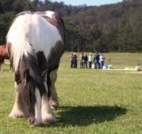 Unbridled Results - Adelaide Schools