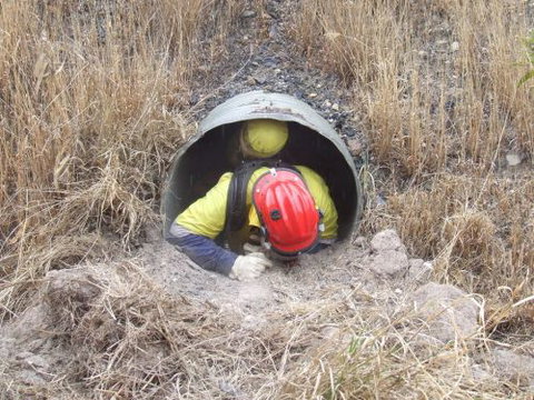 Emergency Risk Management Queensland - Adelaide Schools 3