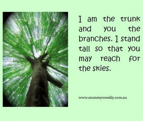 Mummy Weekly - Adelaide Schools 0