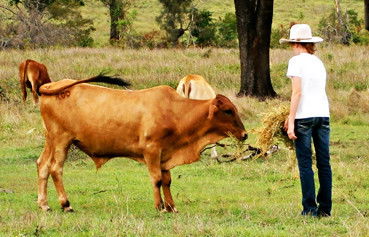 Alkoomi Outback Skills Farm - Adelaide Schools 2