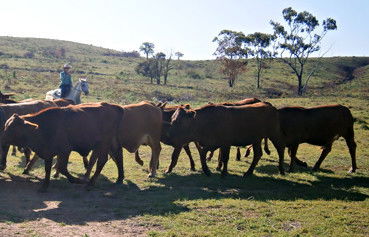 Alkoomi Outback Skills Farm - Adelaide Schools 3