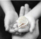 Castlecrag Montessori School - Adelaide Schools