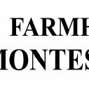 Farmhouse Montessori School - Adelaide Schools