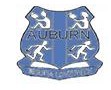 Auburn Public School - Adelaide Schools 0