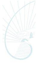 Cape Byron Rudolf Steiner School - Adelaide Schools 0