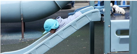 Mount Sinai College - Adelaide Schools 5