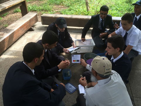 Australian International Academy Strathfield Campus - Adelaide Schools 4