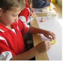 Holy Family Primary School Luddenham - Adelaide Schools 2