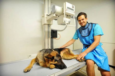 Pacific Vetcare - Adelaide Schools 0