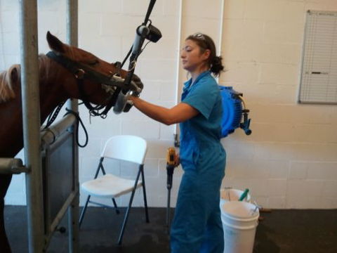 Pacific Vetcare - Adelaide Schools 9