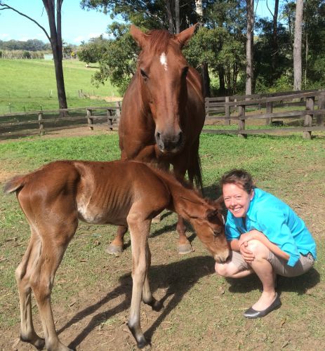 Pacific Vetcare - Adelaide Schools 5