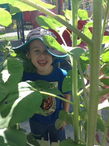 Central Gardens Childcare - Adelaide Schools 1