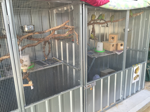 TLC Early Learning Centre - Adelaide Schools 0