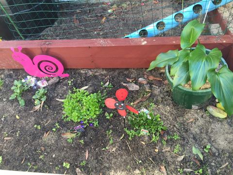 TLC Early Learning Centre - Adelaide Schools 3