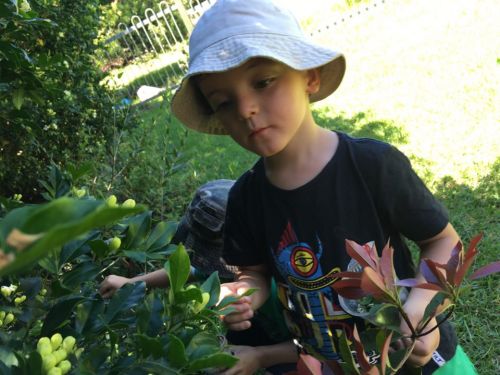 Kiama Downs NSW Adelaide Schools