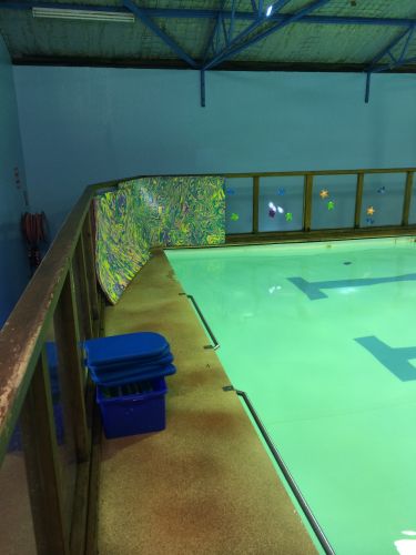 Shane Dowel’s Swim School - Adelaide Schools 1