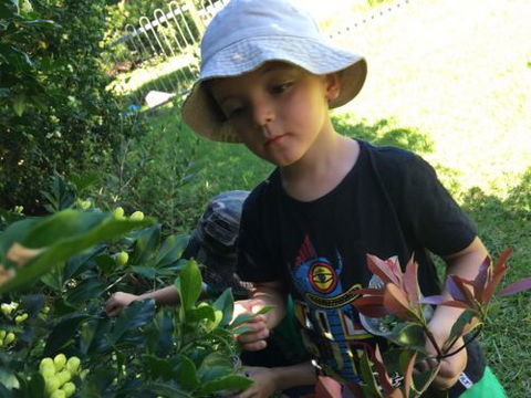 Kiama Kids Pre-School & Childcare Centre - Adelaide Schools 0