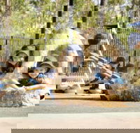 Good Shepherd Lutheran College NT - Adelaide Schools