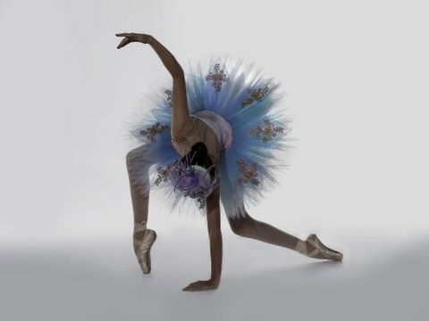 Dance Fusion Studios - Adelaide Schools 2