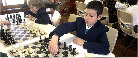Wollemi College - Adelaide Schools 2