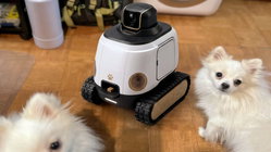 AI robot may stop your dog from barking while you're gone Adelaide Schools