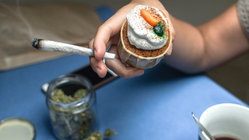 Cannabis cafes may become tourist draw in US city as lung experts cite 'toxic chemical' concerns Adelaide Schools
