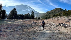 Mount Shasta climber recounts harrowing 500-foot slide, overnight crawl to safety: report Adelaide Schools