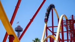 Popular amusement park bans guest for life after roller coaster stunt viral video Adelaide Schools
